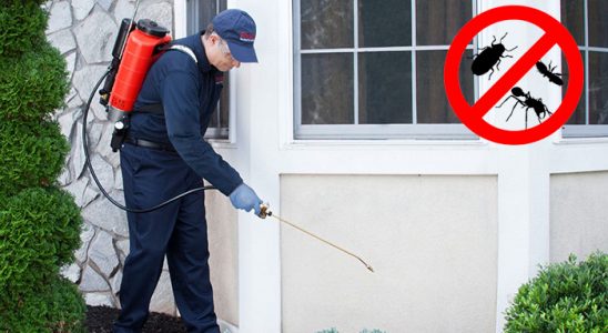 Konyaaltı Haşere İlaçlama böcek ilaçlama ve haşere kontrolü — ilaclama-tr.com